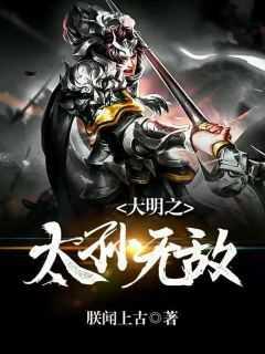 大明之太孙无敌几个女主