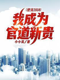 官场最强逆袭