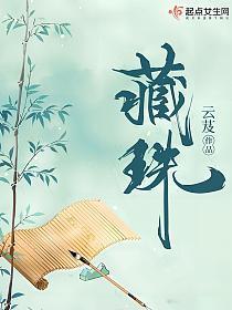 藏珠是什么做材料做成